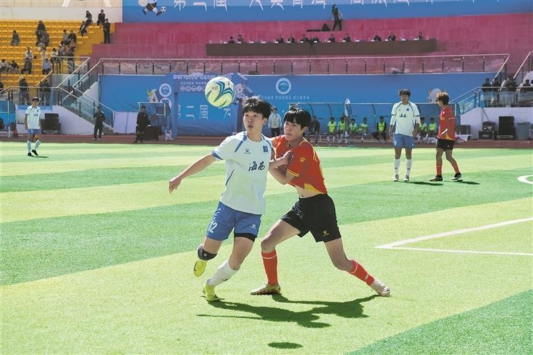 青海新闻网